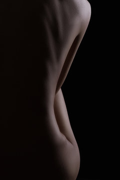 Sexy body nude woman. Naked sensual beautiful girl. Artistic photo.