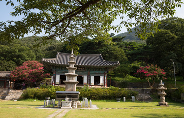 절 안에 핀 배롱나무꽃