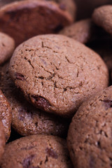 chocolate chip cookies