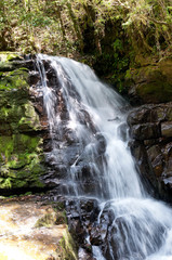 Fototapeta premium 苔と岩と滝【岩つぼの滝】