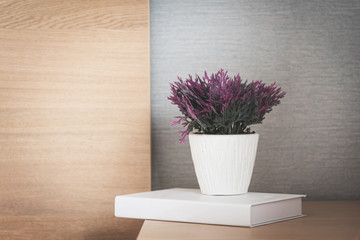 Flower in flower pot on book with wooden and grey textured wall background. copy space.