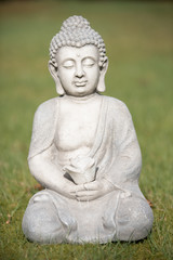 Buddha im grünen