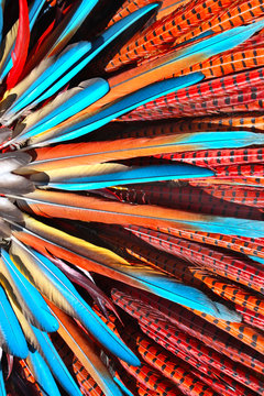 Multi-colored Feathers In Native American Indian Chief Headdress