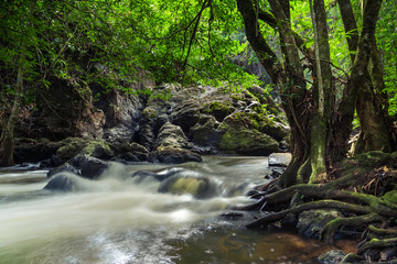 motion of waterfall , green trees and brook breezy cool