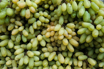 Wine grapes close up on the market. Fresh fruit detail.