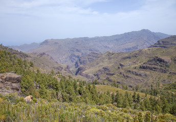 Fototapeta na wymiar west of Gran Canaria, April