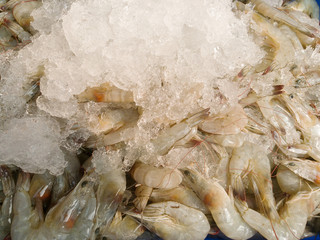 Fresh shrimp on ice