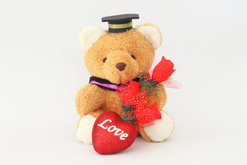 Brown bear wearing a graduation cap and red roses on a white background.