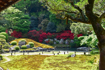 霧島つつじが咲く日本庭園