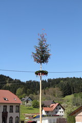 Maibaum bei blauen Himmel im Schwarzwald