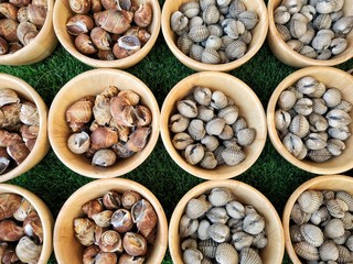 Fresh Babylonia areolata or Spotted babylon and fresh cockles in market, Thailand / Seafood image

