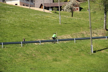 Radfahrer