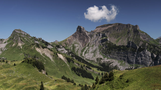 Auf der Schynigen Platte in der Gemeinde G&uuml;ndlischwand am 08.08.12. Der auffallende Gipfel in der Mitte ist die "Ussri S&auml;gissa" (2463m), ganz links das Loucherhorn. 