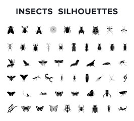 Vector set of insect silouettes isolated on white - obrazy, fototapety, plakaty