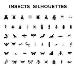 Foto op Plexiglas Vector set of insect silouettes isolated on white © Saiful