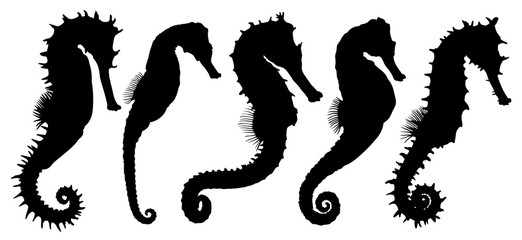 Silhouettes of sea horses.  © designer_an