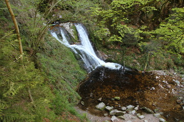 Wasserfall im Schwarzwald