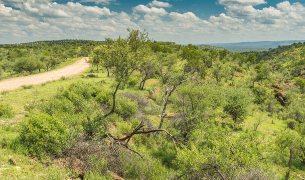 Berge und Busch Landschaft im Osten Namibias auf der Strecke nach Okahandja, Khomas, Namibia