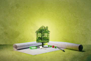 maison écologie,arbre et plan sur fond vert
