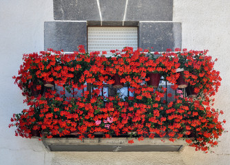 Jacobean route, balcony with flowers, Zubiri, Navarra, Spain