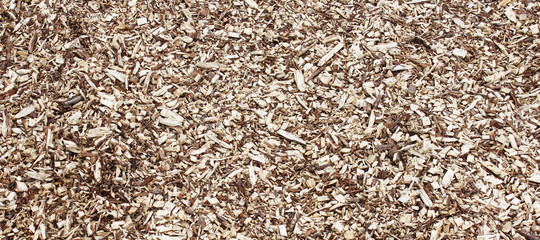 Paillis / Mulch