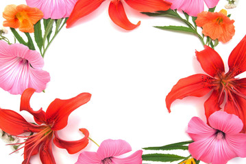 Wreath of flowers lily, mallow, nasturtium and  isolated on white background. Wedding card. Flat lay, top view. Love. Valentine's Day. Easter. Woman