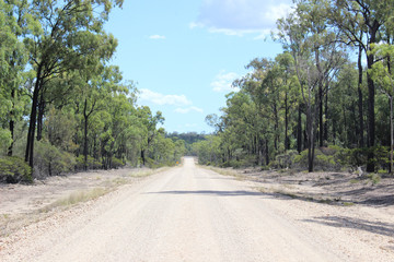 Straight dirt road in bush