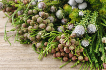 Mixed plants: herbs and shrub twigs.