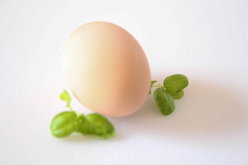 Egg isolated on White Background. Organic chicken egg