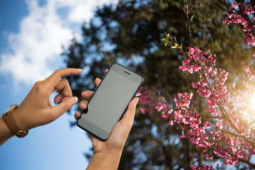 Young woman holding a mobile smart phone Travel with the sun