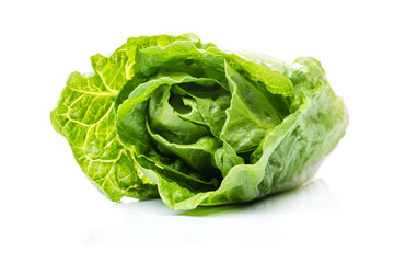 Chinese cabbage isolated on white background