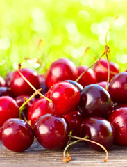 Ripe juicy cherries in garden