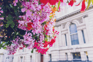 Colorful flowers adorning the streets of London