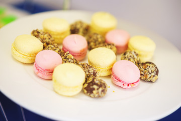 Fototapeta na wymiar Small desserts for guests on a plate. Macaroons and small cakes. Soft selective focus on cakes.