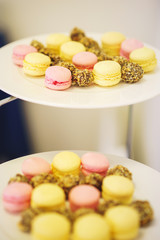 Fototapeta na wymiar Small desserts for guests on a plate. Macaroons and small cakes. Soft selective focus on cakes.