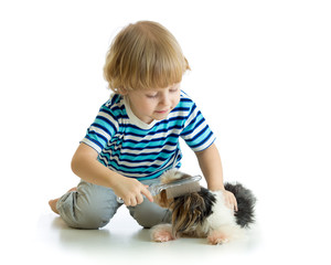 Child comb brushing dog