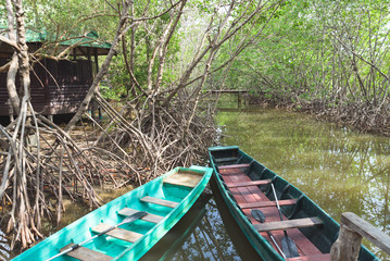 Prachuap Khiri Khan, The Mangrove