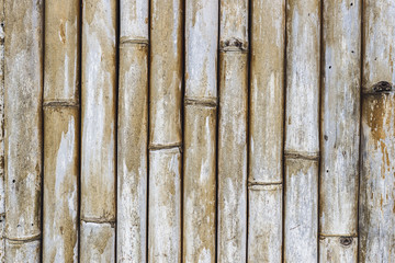 Old striped texture of bamboo wall