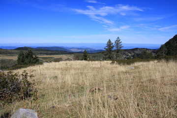 Prairie dans les Pyrénées audoises, Occitanie dans le sud de la France