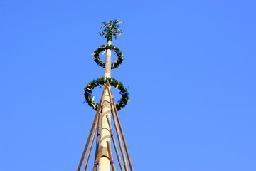 Fototapeta na wymiar Maibaumaufstellen, traditionelles Aufstellen eines Maibaumes mit Hilfe von Stangen und Muskelkraft, Ausschnitt