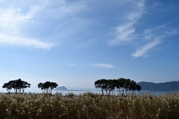 Obraz na płótnie Canvas 琵琶湖畔