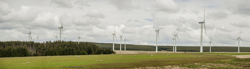 Scottish wind farm