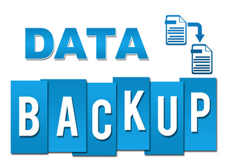 Data Backup Professional Blue With Symbol 
