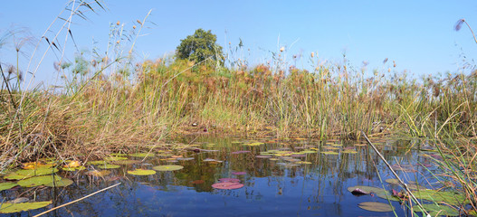 Okavango Delta