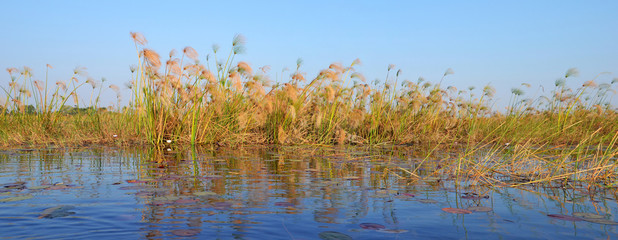 Okavango Delta