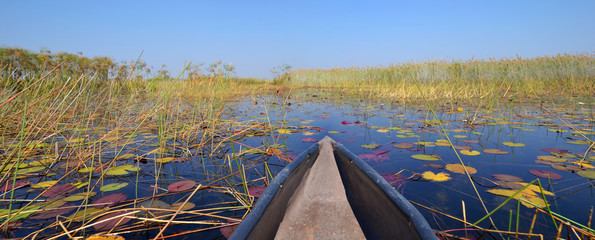 Okavango Delta