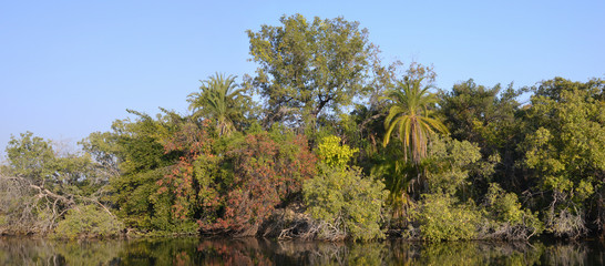 Okavango Delta