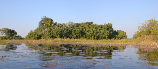 Okavango Delta