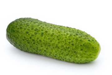 The first spring ecologically cucumbers.