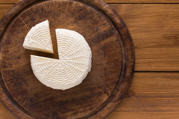 Cheese wheel, homemade indian paneer top view